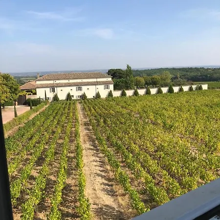 Le Petit De Javernieres Etage Villie-Morgon